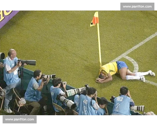 世界杯赛事全程报道与精彩回顾最新赛况即时分析及专家点评